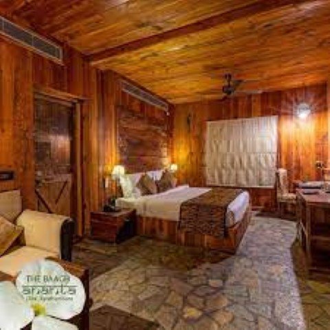 The Baagh Ananta Elite, Ranthambore