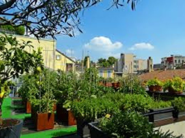 Urban Garden Hotel