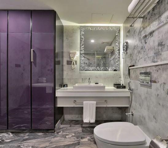 Regenta Central Antarim Hotel - Ahmedabad
