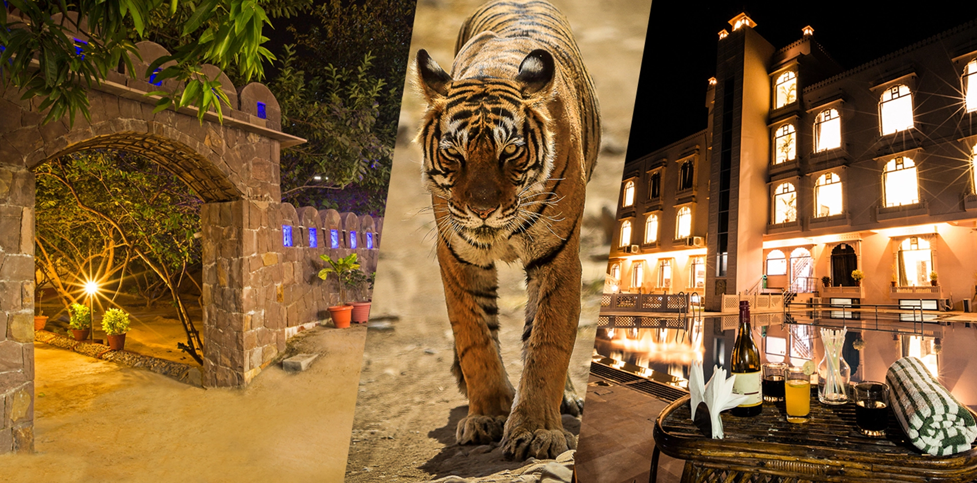 RANTHAMBORE NATIONAL RESORT - Ranthambore